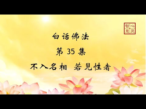 白话佛法第35 集 不入名相若见性者 Youtube