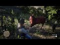 Поимка арабской лошади Red Dead Redemption 2 и сравнение с чистокровной