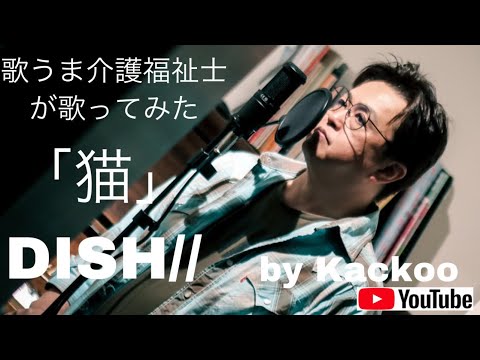 歌うま介護福祉士が歌ってみた【cover】猫　DISH//   原曲キー　by Kackoo