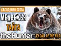 theHunter Call of the Wild #12 🐻 - Медвежья Тайга (часть 1) - Свободная Охота