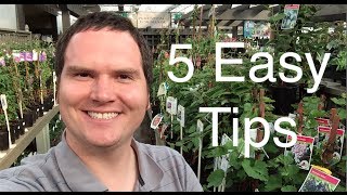 5 Easy Tips to Pick the Best Plants from a Greenhouse Alberta Urban Garden