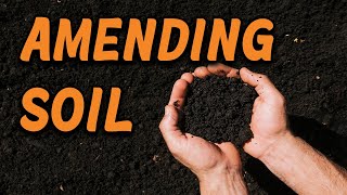 How I Amend Soil Following a Soil Test