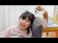 娘の髪で遊びたくて攻撃しちゃう猫