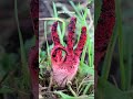 Rare photos that you should watch #science #sciencefacts