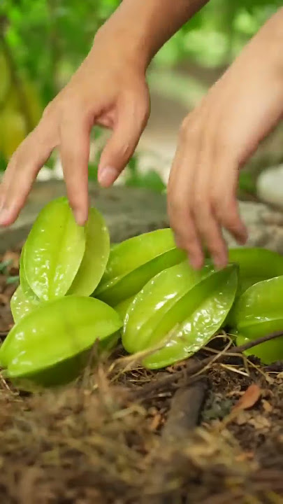 Star Fruit #satisfying #short