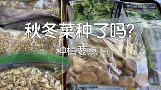【秋冬菜种了吗？】秋冬种菜容易被忽视的要点｜不再种的品种｜最省事美味秋冬菜品推荐