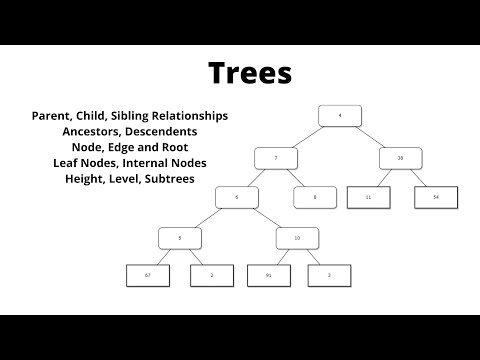 Tree Basics | Parent Child Level Height Subtree | Computer Science Data Structures