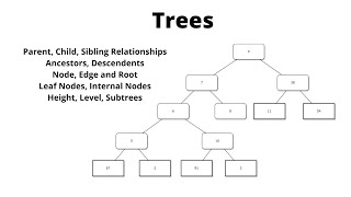 Tree Basics | Parent Child Level Height Subtree | Computer Science Data Structures