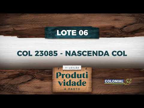 LOTE 06   COL 23085