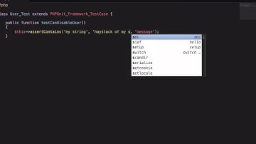 Sublime Text Perfect Workflow - 013 - Easier Testing With Snippets