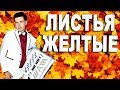 Листья желтые - поёт баянист Вячеслав Абросимов