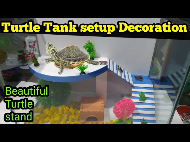 Turtle Tank setup and Decorations ideas, Fish Aquarium Decorations ideas