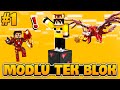 Modlu tek blok  minecraft modlu tek blok  1