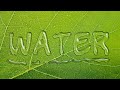 Water Text Effects | Photoshop Text Effects Tutorials | Graphic Design Tutorial