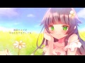 ねこのはな