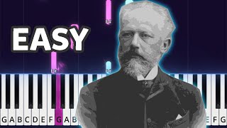 Swan Lake - Tchaikovsky