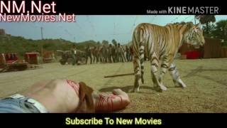 Himmatwala| Ajay Devgan And Tiger Fighting With Stronger Fighters Scene| Ajay Devgan Shraddha Kapoor screenshot 5