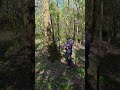 Dalsza część opowieści o lince arborystycznej 😅