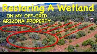 Restoring A Wetland On My AZ Property  RESULTS ON DAY 1!!  **Permaculture In The High Desert**