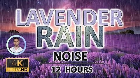 Soothing Lavender Rain Noise | 12 Hours BLACK SCREEN | Study, Sleep, Tinnitus Relief and Focus