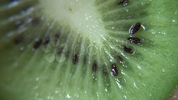 Extreme macro - Kiwi fruit 4. Stock Footage