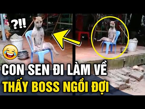 Video Quay clip 'THAN CHÁN ĐỜI', dân mạng vội vàng khuyên... - youtube