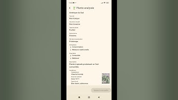 XY | Google Gemini API Competition #buildwithgemini