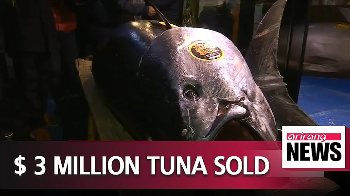 280kg Bluefin tuna nets $3.1 million at Tokyo auction