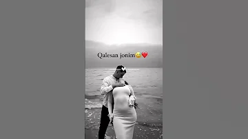 Omad Youtube Alyonmedia 2025 Telegram Duet Shorts Video Bakuairport 