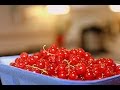 FREEZE BERRIES ❦ Запас ВИТАМИНОВ К ЗИМЕ ❦ КАК ЗАМОРОЗИТЬ ЯГОДУ