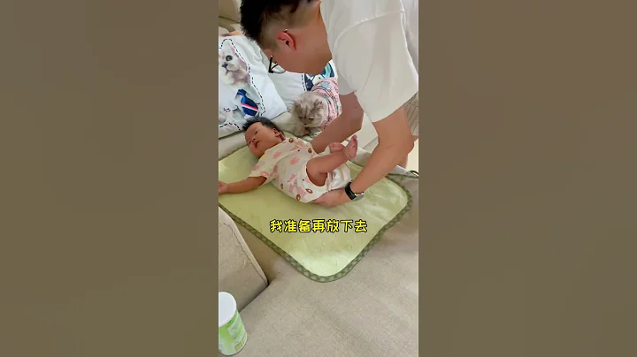 Cat and Baby 我這真的是自取其辱啊！🐱🤣#shorts #cat #catandbaby - 天天要聞