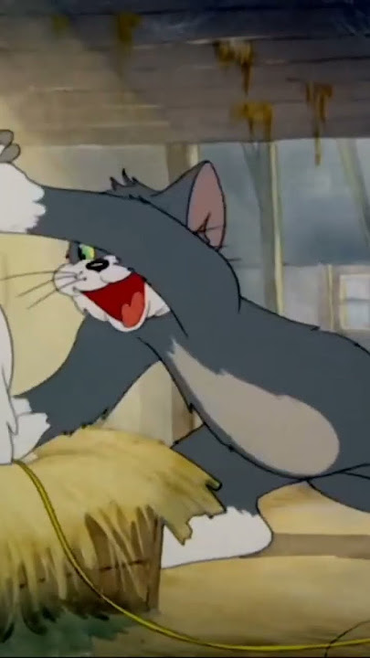 Tom and Jerry - Teman ku dengan bulu yang halus 3