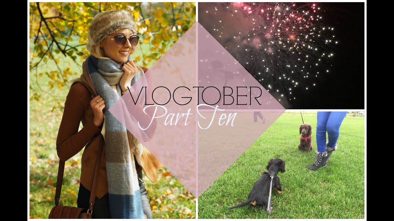 Dexter meets Bella, Firework night & Macaroni Cheese!   |   VLOGTOBER #10   |   Fashion Mumblr