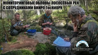 Мониторинг лососёвых рек Ленинградской области. ВНИРО ГосНИОРХ