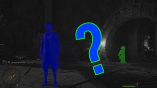 Hogwarts Legacy:Blue/Green Character Glitch Fix Hogwarts Legacy:Blue/Green Character Glitch Fix