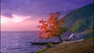 Lugu Lake: Odyssey of Light and Color（泸沽湖音影）