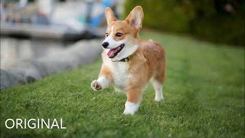 Comparison between MATLAB and Python