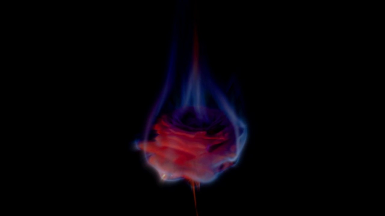 Young Ejecta Build A Fire Lyrics