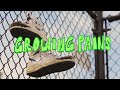 Growing pains official audio  elevation rhythm  mitch wong