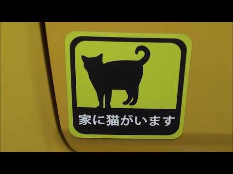 家に猫がいます hqdefault