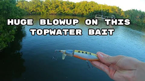 Huge Topwater Blowup (Snook?)