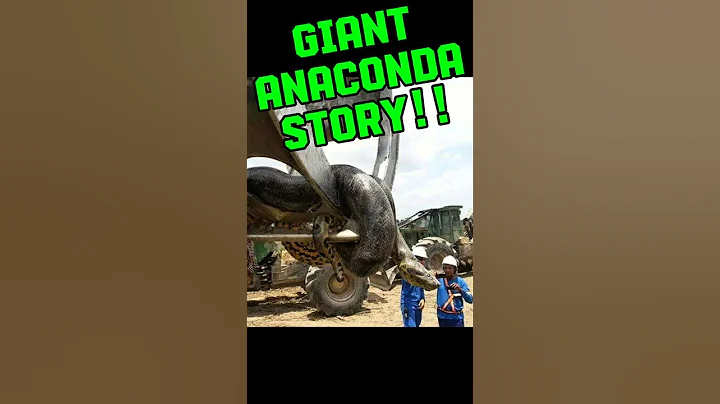 Paul Rosolie Tells The Story Of A Giant Amazon Anaconda On The Joe Rogan Podcast.