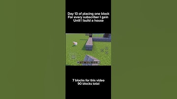 Day 13 of placing one block for every subscriber I gain until I build a house
