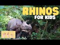 Rhino Facts and Conservation