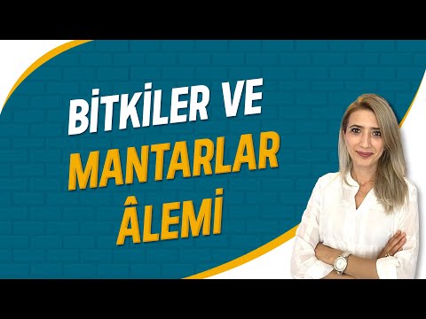 Bitkiler ve Mantarlar Alemi | Seda Hoca Biyoloji ( 21. Ders ) #sedahocabiyoloji #tyt2023