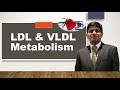 LDL and VLDL Metabolism: Lipoproteins metabolism: Endogenous pathway of lipid transport