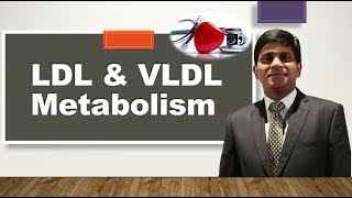 LDL and VLDL Metabolism: Lipoproteins metabolism: Endogenous pathway of lipid transport