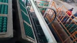 4000pcs/h full automatic egg tray production line in Peru