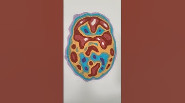 Your Brain as a rug. 😳#shorts #iamthealphabet