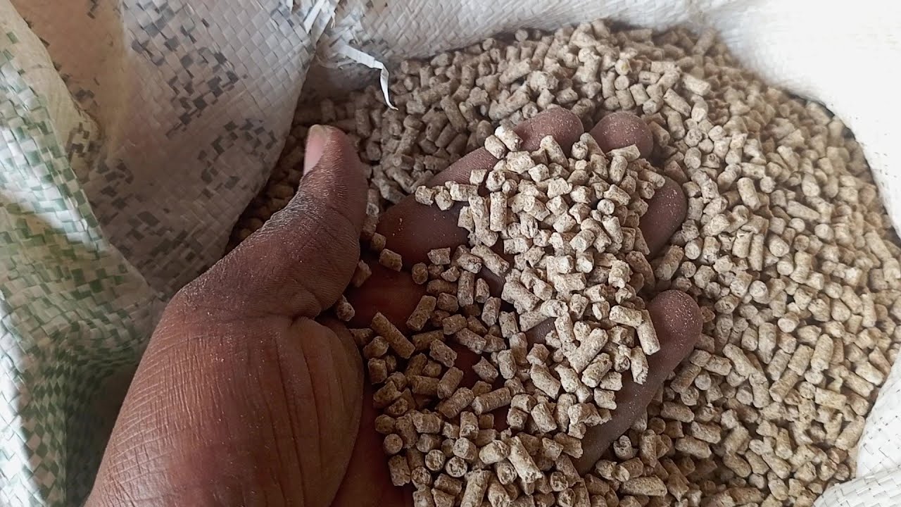 IMVANGE Y'IBIRYO BY'INKOKO IBIGWANO , KUVA AMEZI 2 KUGEZA ZITANGIYE GUTERA.